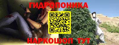 ешки Сланцы