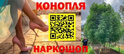 ешки Сланцы