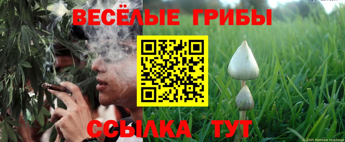 Галлюциногенные грибы Сарапул