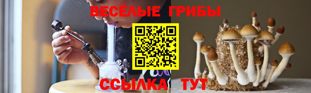 Псилоцибиновые грибы Cubensis Сарапул